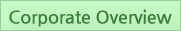 ceo